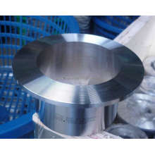Stainless Steel Seamless Stub End (Type A)